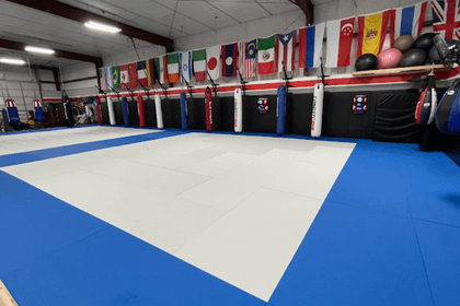 Image 1 from Alliance AZO Martial Arts partner gallery