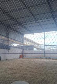 Imagem 1 da galeria do parceiro Ct Rc Beach