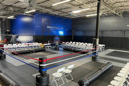 Image 1 from Groundswell MMA partner gallery