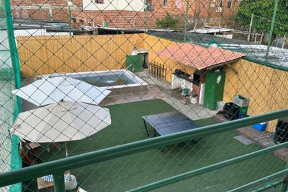 Imagem 5 da galeria do parceiro Arena Bet Veloz