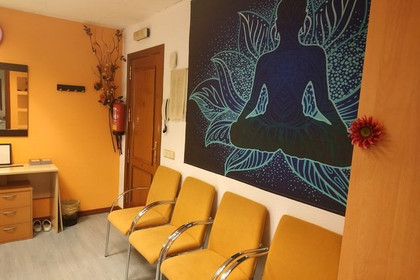 Imagen 7 de la galería del partner Feel Fine