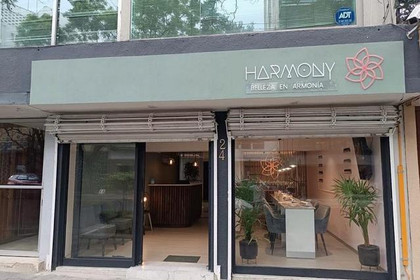 Imagen 2 de la galería del partner Harmony