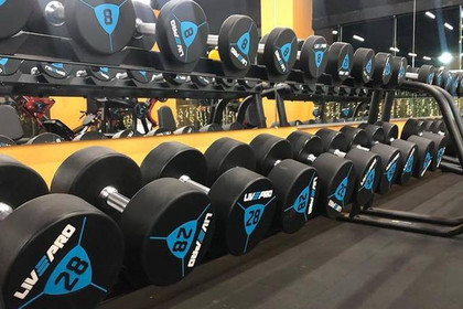 Imagen 3 de la galería del partner Empire Fitness - Suburbano Fortuna - Industrial Vallejo