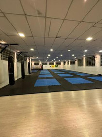 Imagem 3 da galeria do parceiro Arena Mooca Academia