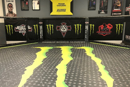 Image 7 from Combat Sport Academy partner gallery