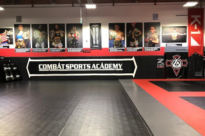 Image 8 from Combat Sport Academy partner gallery