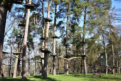 Bild 5 von Kletterwald am See Partnergalerie