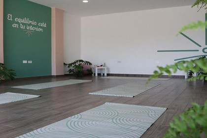 Imagen 2 de la galería del partner Narte Wellness & Yoga