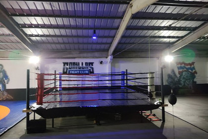 Imagem 3 da galeria do parceiro Gorillas Fight Club