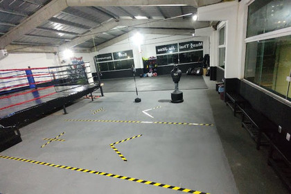 Imagem 4 da galeria do parceiro Gorillas Fight Club