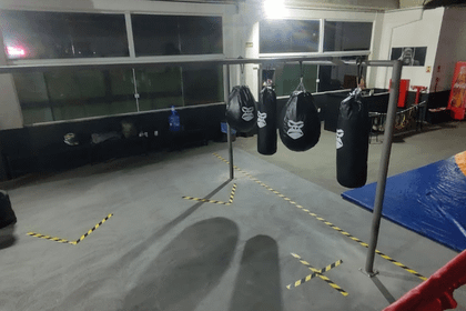 Imagem 5 da galeria do parceiro Gorillas Fight Club
