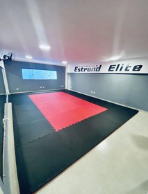 Imagem 8 da galeria do parceiro Academia Estrond Elite Arujá