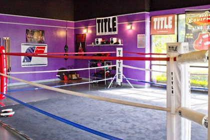 Image 1 from Gillespie Boxing partner gallery