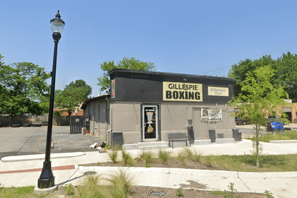 Image 2 from Gillespie Boxing partner gallery