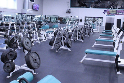 Image 4 from Pro-Fitness Plus partner gallery