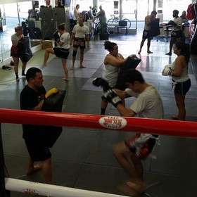Image 3 from World Team USA partner gallery