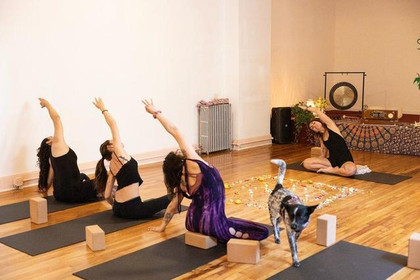 Image 4 from Daya Yoga Studio Ridgewood partner gallery