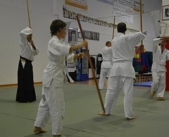 Immagine 1 dalla galleria del partner Accademia Aikido Scaligera Verona