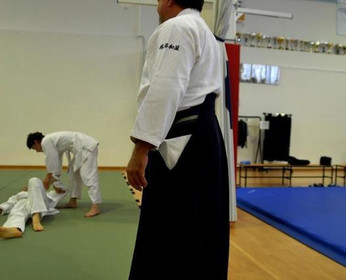 Immagine 4 dalla galleria del partner Accademia Aikido Scaligera Verona