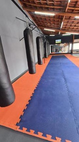 Imagem 1 da galeria do parceiro Adrenalina Muay Thai