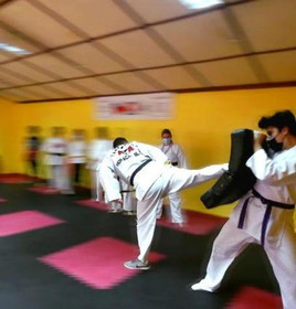 Imagen 6 de la galería del partner ATA BEKHO VIÑA