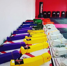 Imagen 5 de la galería del partner ATA BEKHO VIÑA