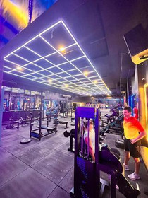 Imagen 3 de la galería del partner Magnus Fitness High Performance