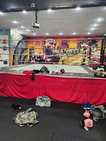 Image 2 from Franklin Boxing partner gallery