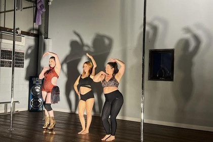 Image 4 from Emmas Pole Dancing and Aerial Fitness partner gallery