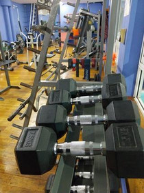 Imagen 4 de la galería del partner Marina natación y gimnasio