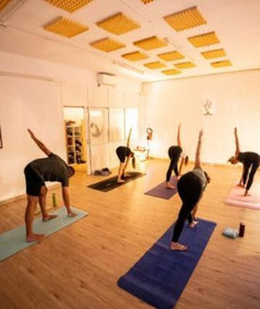 Imagen 5 de la galería del partner Ashvi Yoga