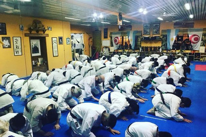 Imagen 3 de la galería del partner KARATE DOJO CAMPANA