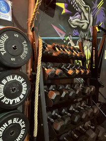Imagen 4 de la galería del partner Wodbox