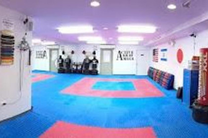 Image 3 from New York Self Defense Academy - Active K partner gallery