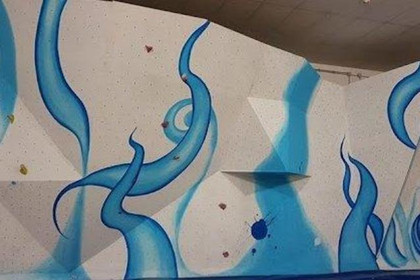 Immagine 2 dalla galleria del partner Palestra Arrampicata ASD Rockmadness