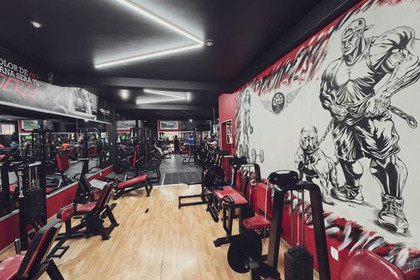 Imagen 7 de la galería del partner Gym El Roble