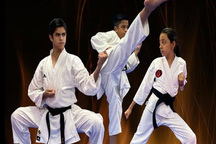 Imagen 2 de la galería del partner Centro de Karate Tradicional