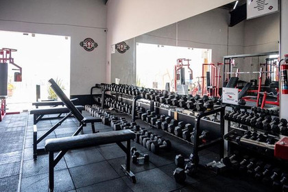 Imagen 1 de la galería del partner Omega Fitness Training