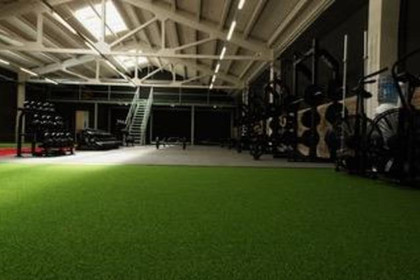 Imagen 4 de la galería del partner Human Movement Athletics