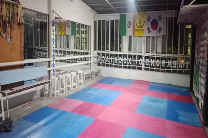 Imagen 1 de la galería del partner Escuela de taekwondo Kyeongju Xochiac
