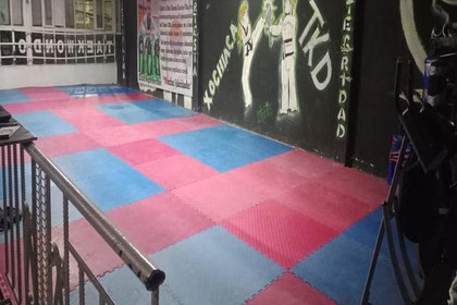 Imagen 3 de la galería del partner Escuela de taekwondo Kyeongju Xochiac