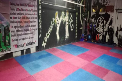 Imagen 4 de la galería del partner Escuela de taekwondo Kyeongju Xochiac