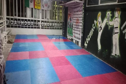 Imagen 5 de la galería del partner Escuela de taekwondo Kyeongju Xochiac