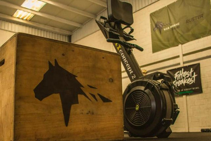 Imagen 3 de la galería del partner War Horse Box Training