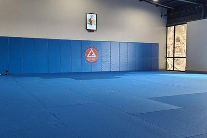 Image 4 from Gracie Barra Buda partner gallery