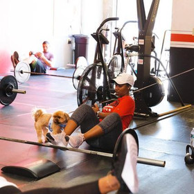 Image 2 from Proud Fitness Training partner gallery