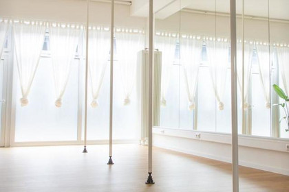 Bild 3 von ANNACONDA Pole & Aerial Sports Partnergalerie