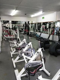 Imagen 6 de la galería del partner Gimnasio Funcional EHD