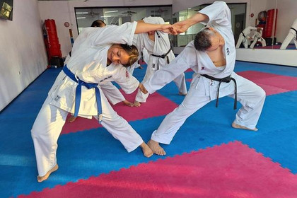 Imagen 3 de la galería del partner Hombu Dojo Shito Kai Murayama