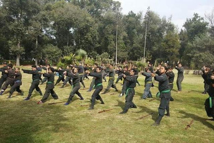 Imagen 1 de la galería del partner Genbukan Ninjutsu México Daisuke Dojo Viveros